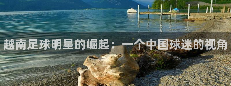 越南足球明星的崛起：一个中国球迷的视角