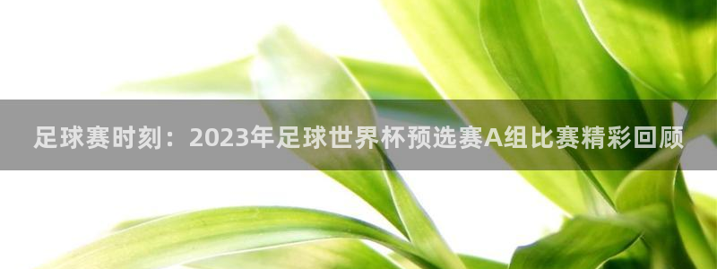 足球赛时刻：2023年足球世界杯预选赛A组比赛精彩回顾