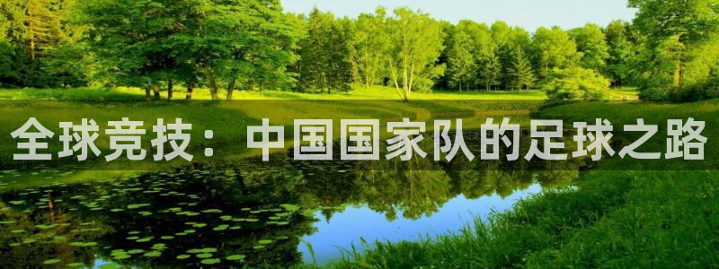 全球竞技：中国国家队的足球之路