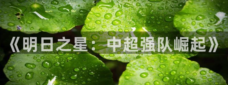 《明日之星：中超强队崛起》