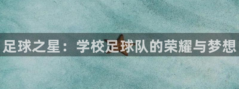足球之星：学校足球队的荣耀与梦想
