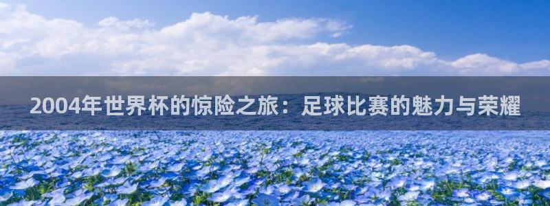 2004年世界杯的惊险之旅：足球比赛的魅力与荣耀