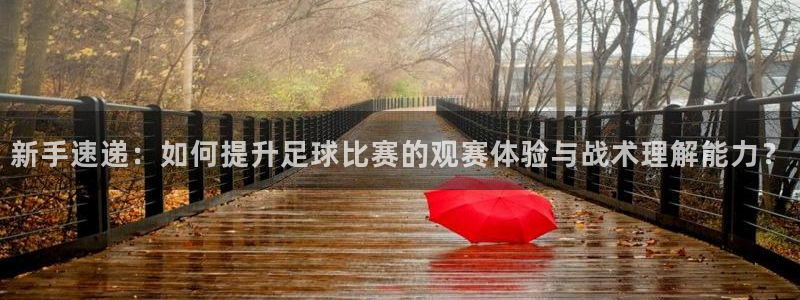  新手速递：如何提升足球比赛的观赛体验与战术理解能力？