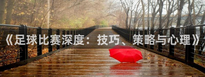 《足球比赛深度：技巧、策略与心理》