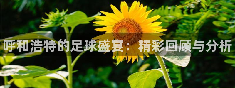  呼和浩特的足球盛宴：精彩回顾与分析