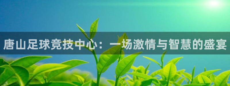  唐山足球竞技中心：一场激情与智慧的盛宴