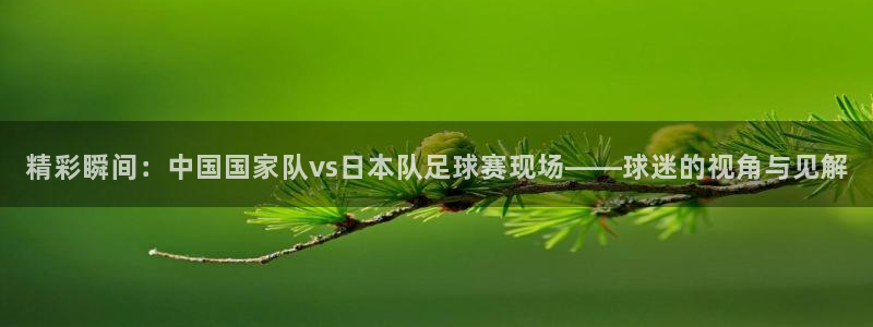  精彩瞬间：中国国家队vs日本队足球赛现场——球迷的视角与见解