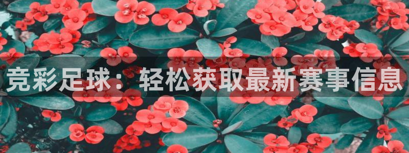  竞彩足球：轻松获取最新赛事信息