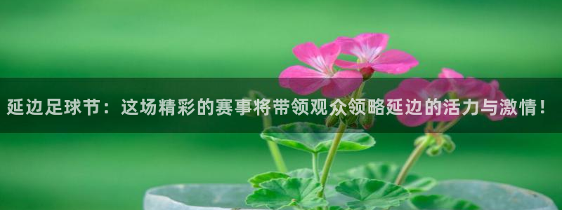 延边足球节：这场精彩的赛事将带领观众领略延边的活力与激情！
