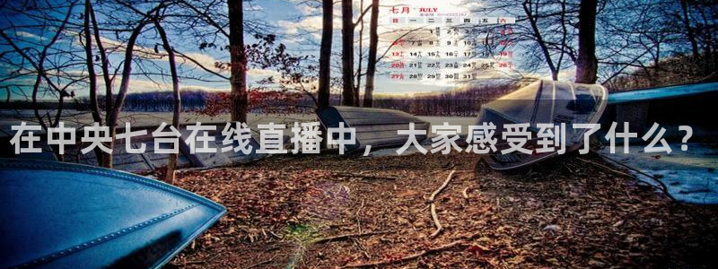 so米：在中央七台在线直播中，大家感受到了什么？