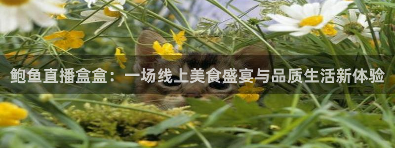 so米：鲍鱼直播盒盒：一场线上美食盛宴与品质生活新体验