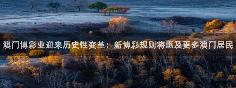 so米体育平台直播：澳门博彩业迎来历史性变革：新博彩规则将惠及更多澳门居民