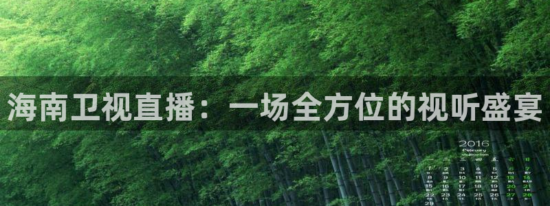 so米体育篮球直播在线观看：海南卫视直播：一场全方位的视听盛宴