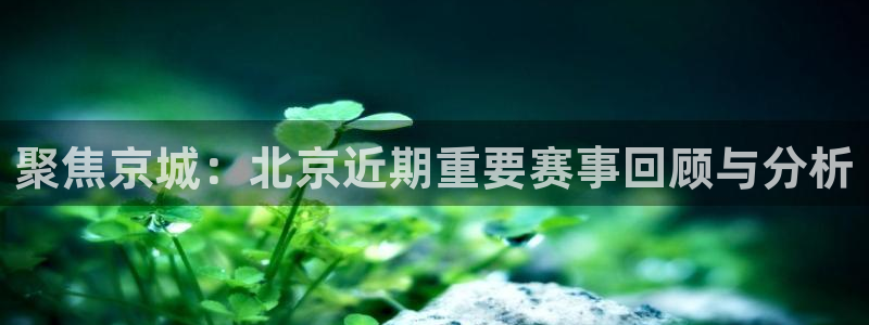  聚焦京城：北京近期重要赛事回顾与分析