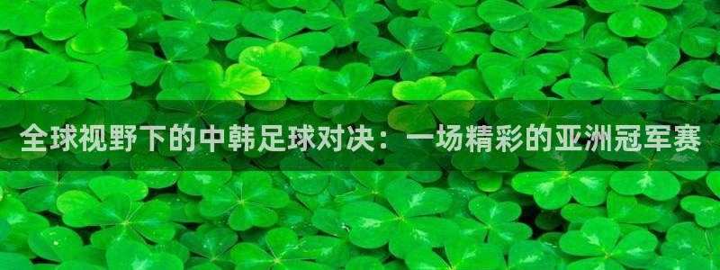 全球视野下的中韩足球对决：一场精彩的