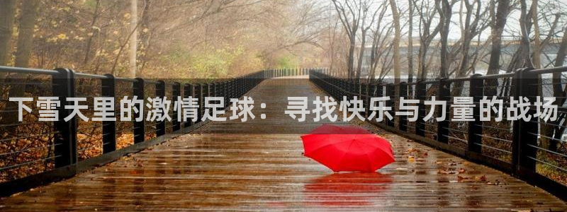 下雪天里的激情足球：寻找快乐与力量的