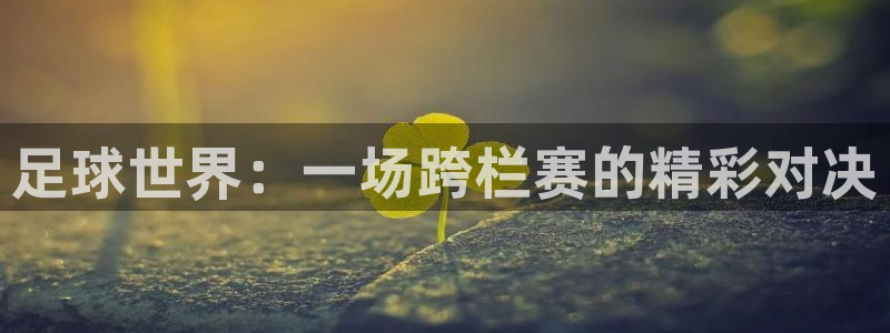  足球世界：一场跨栏赛的精彩对决