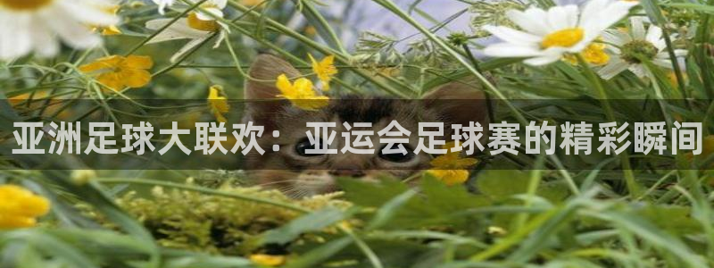亚洲足球大联欢：亚运会足球赛的精彩瞬