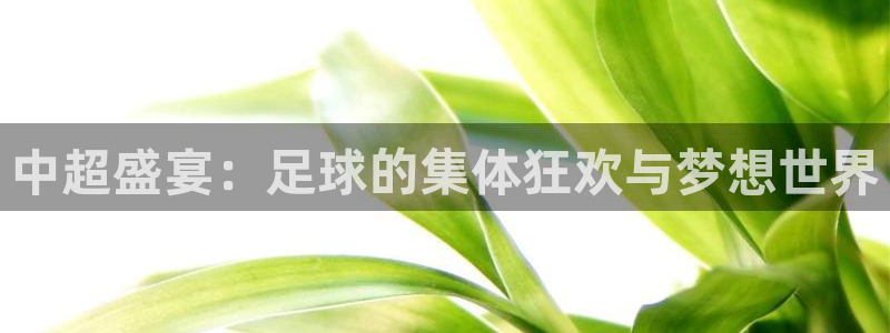  中超盛宴：足球的集体狂欢与梦想世界