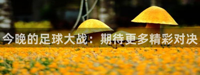  今晚的足球大战：期待更多精彩对决