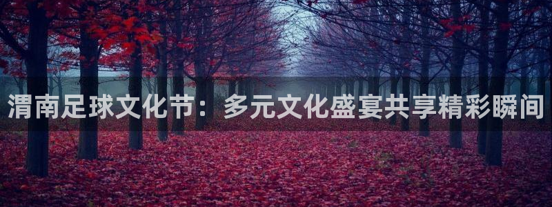  渭南足球文化节：多元文化盛宴共享精彩瞬间