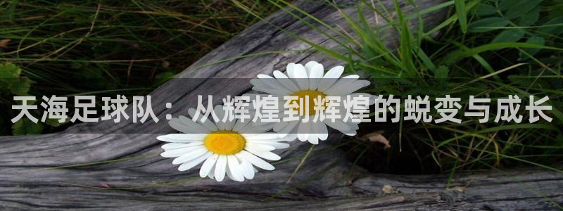 天海足球队：从辉煌到辉煌的蜕变与成长