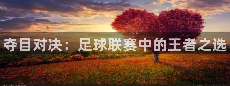夺目对决：足球联赛中的王者之选