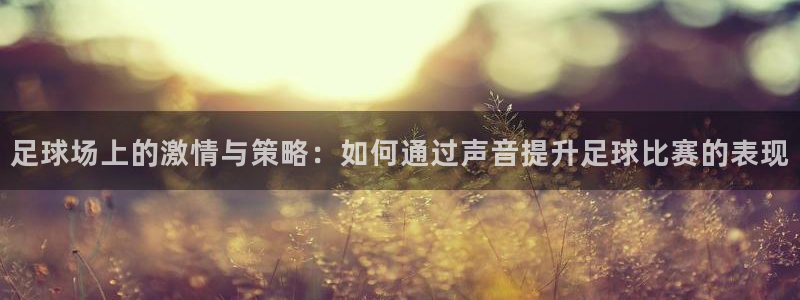 足球场上的激情与策略：如何通过声音提
