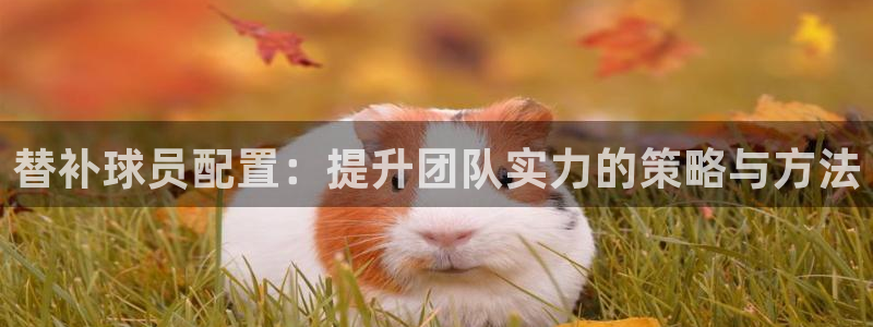 替补球员配置：提升团队实力的策略与方