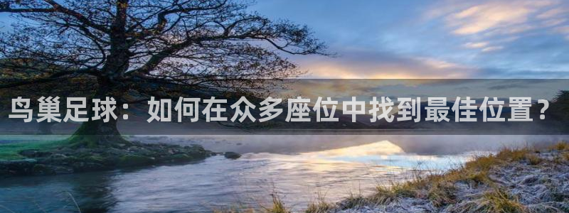 鸟巢足球：如何在众多座位中找到最佳位