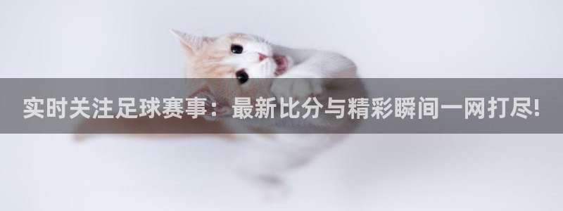  实时关注足球赛事：最新比分与精彩瞬间一网打尽!