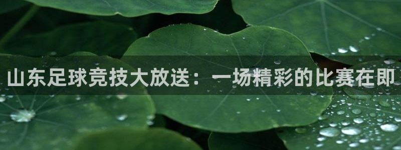 山东足球竞技大放送：一场精彩的比赛在