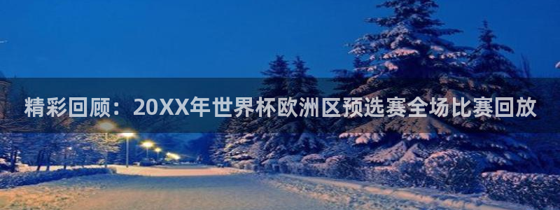 精彩回顾：20XX年世界杯欧洲区预选