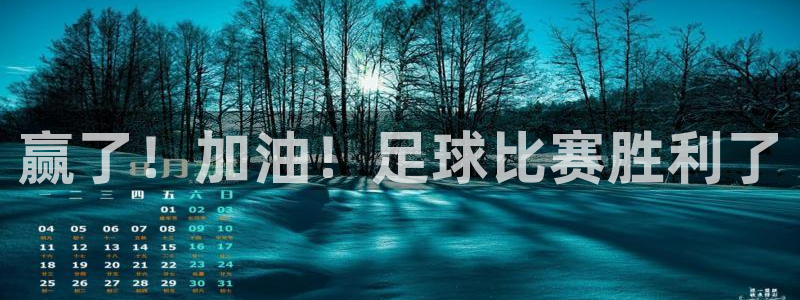 赢了！加油！足球比赛胜利了