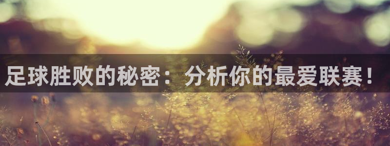 足球胜败的秘密：分析你的最爱联赛！