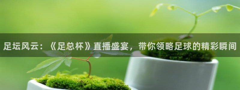 足球so米直播：足坛风云：《足总杯》直播盛宴，带你领略足球的精彩瞬间