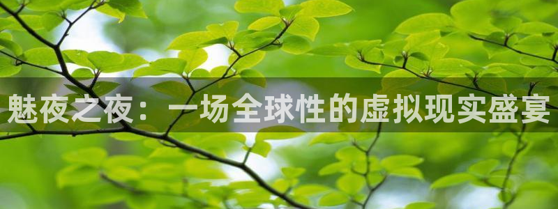 so米体育直播免费观看：魅夜之夜：一场全球性的虚拟现实盛宴