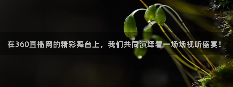 so米体育直播在线观看：在360直播网的精彩舞台上，我们共同演绎着一场场视听盛宴！