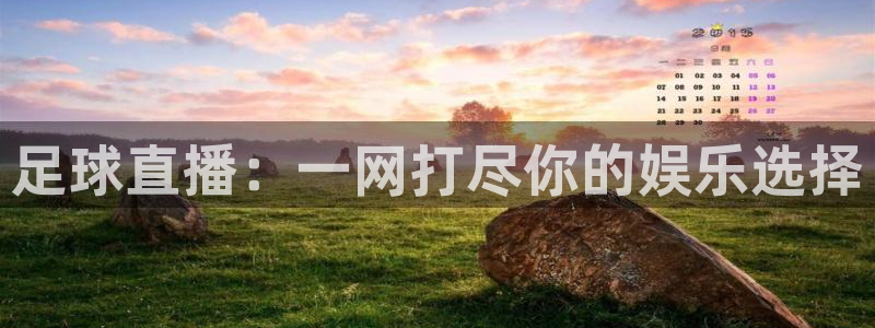 so米体育直播足球直播：足球直播：一网打尽你的娱乐选择