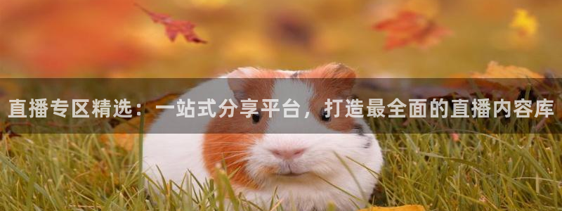 so米赛事直播：直播专区精选：一站式分享平台，打造最全面的直播内容库