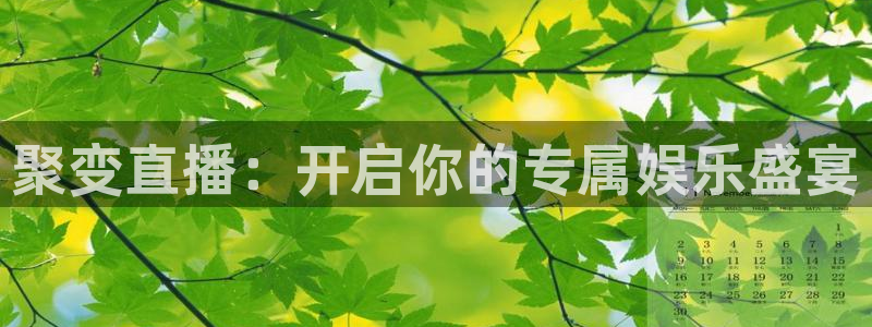 so米直播体育比赛：聚变直播：开启你的专属娱乐盛宴