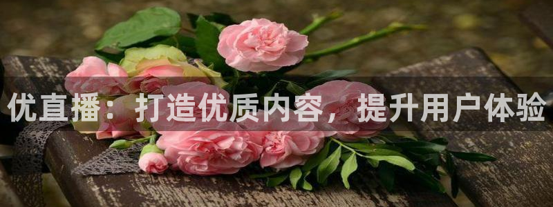 so米体育在线直播足球直播